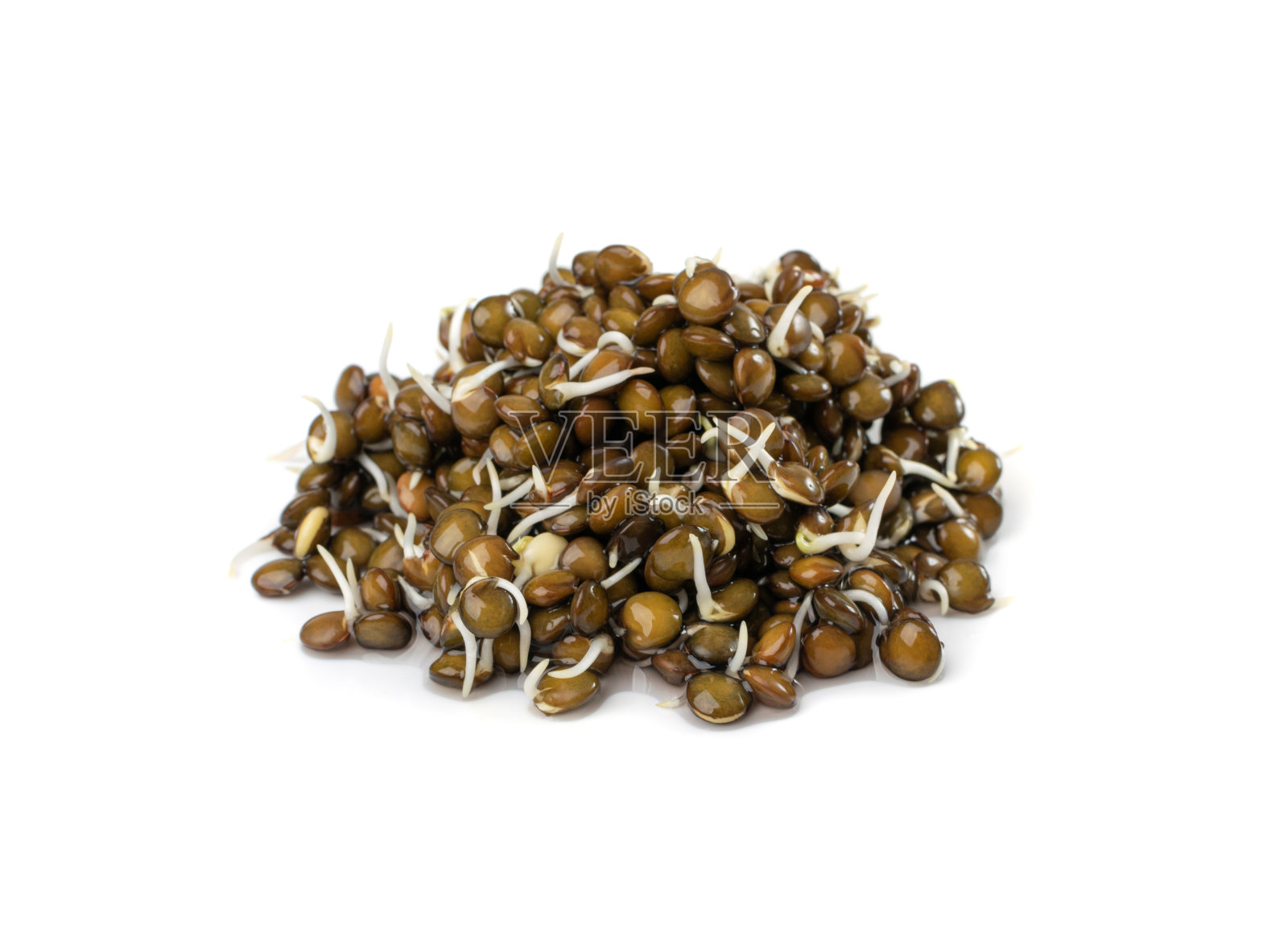 采购产品扁豆芽，发芽的黑扁豆颗粒，Dal, Dal, Dal, Masoor照片摄影图片