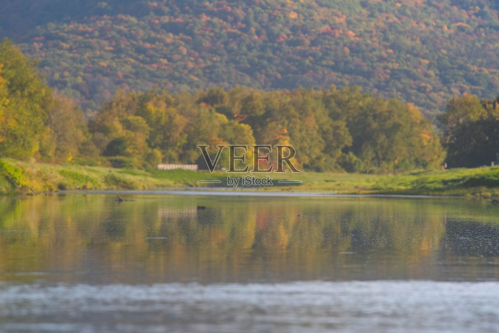 水映秋林山照片摄影图片