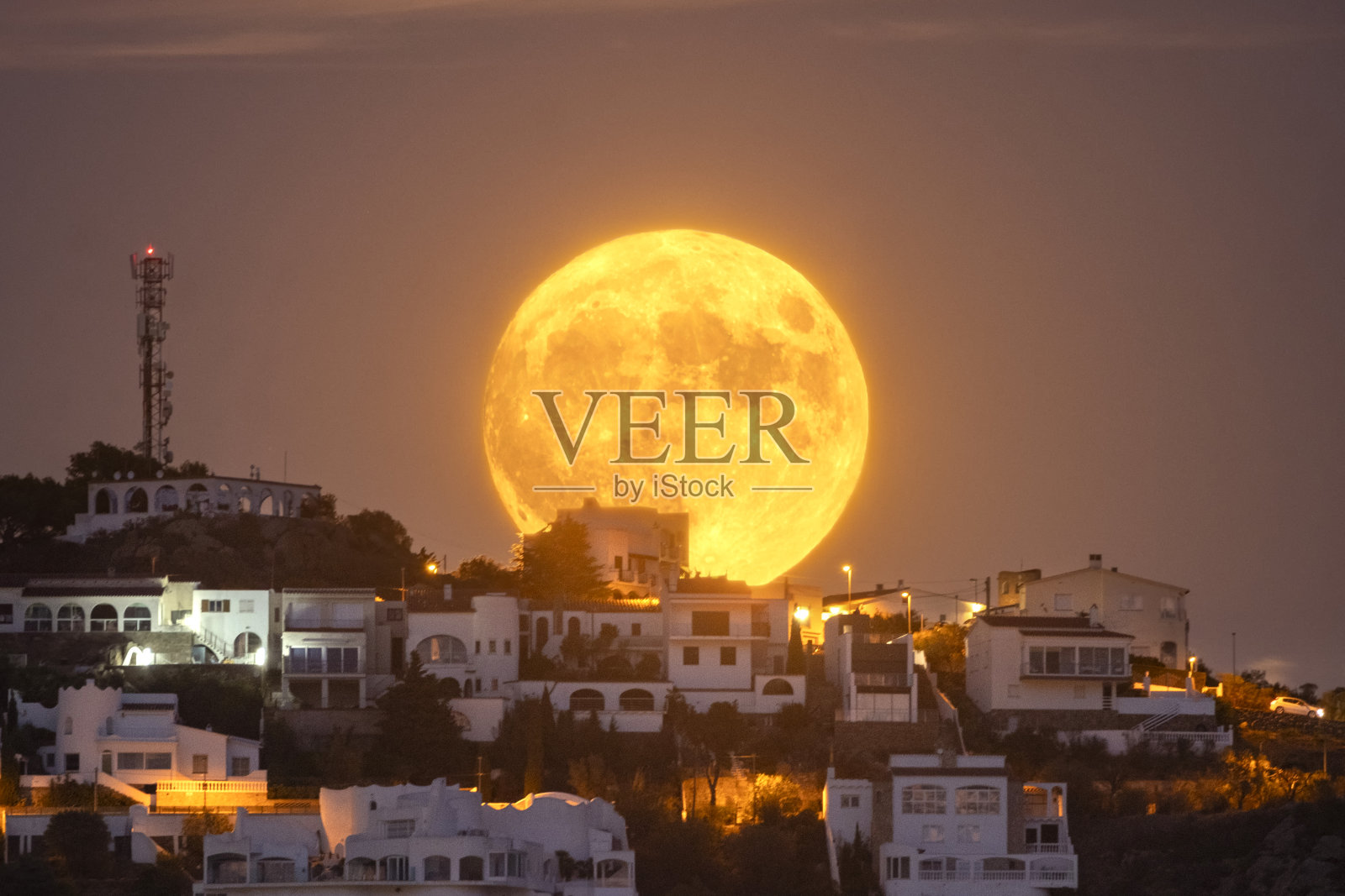 满月照片摄影图片