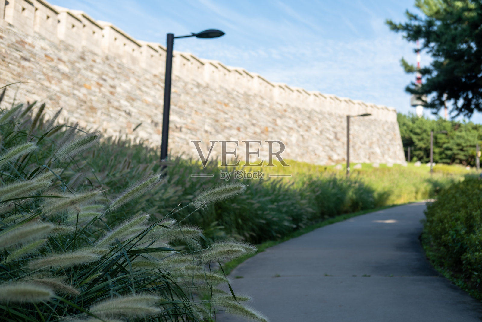 南山公园汉阳道城墙或首尔城墙旁的人行道，前景是银色的草。韩国照片摄影图片