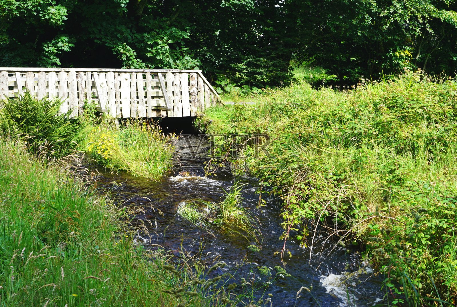 饱经风霜的白色人行桥，横跨草地湿地湍急的溪流照片摄影图片
