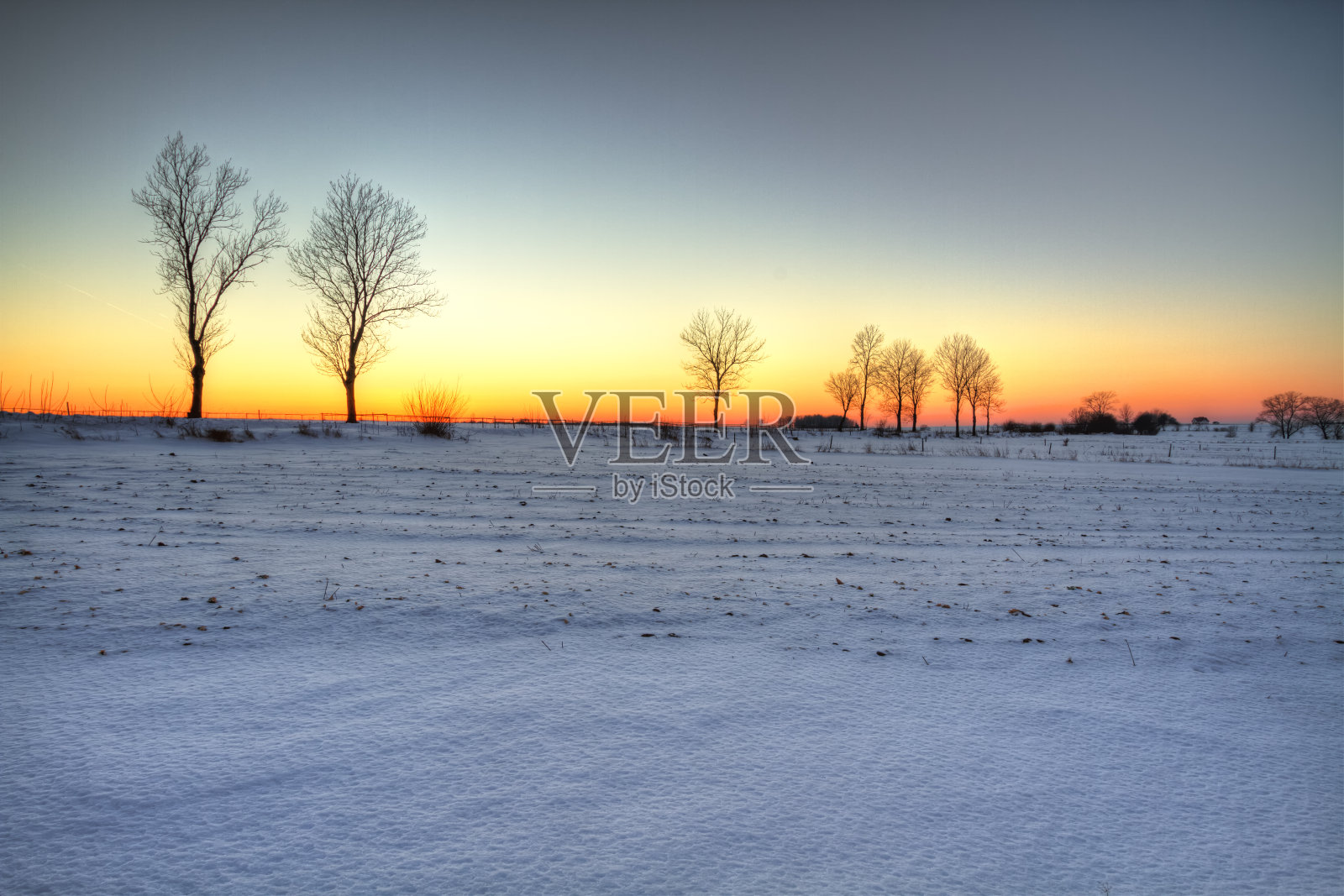 冬季景观，令人惊叹的冬季日落，波兰欧洲，河谷克尼辛原始森林照片摄影图片