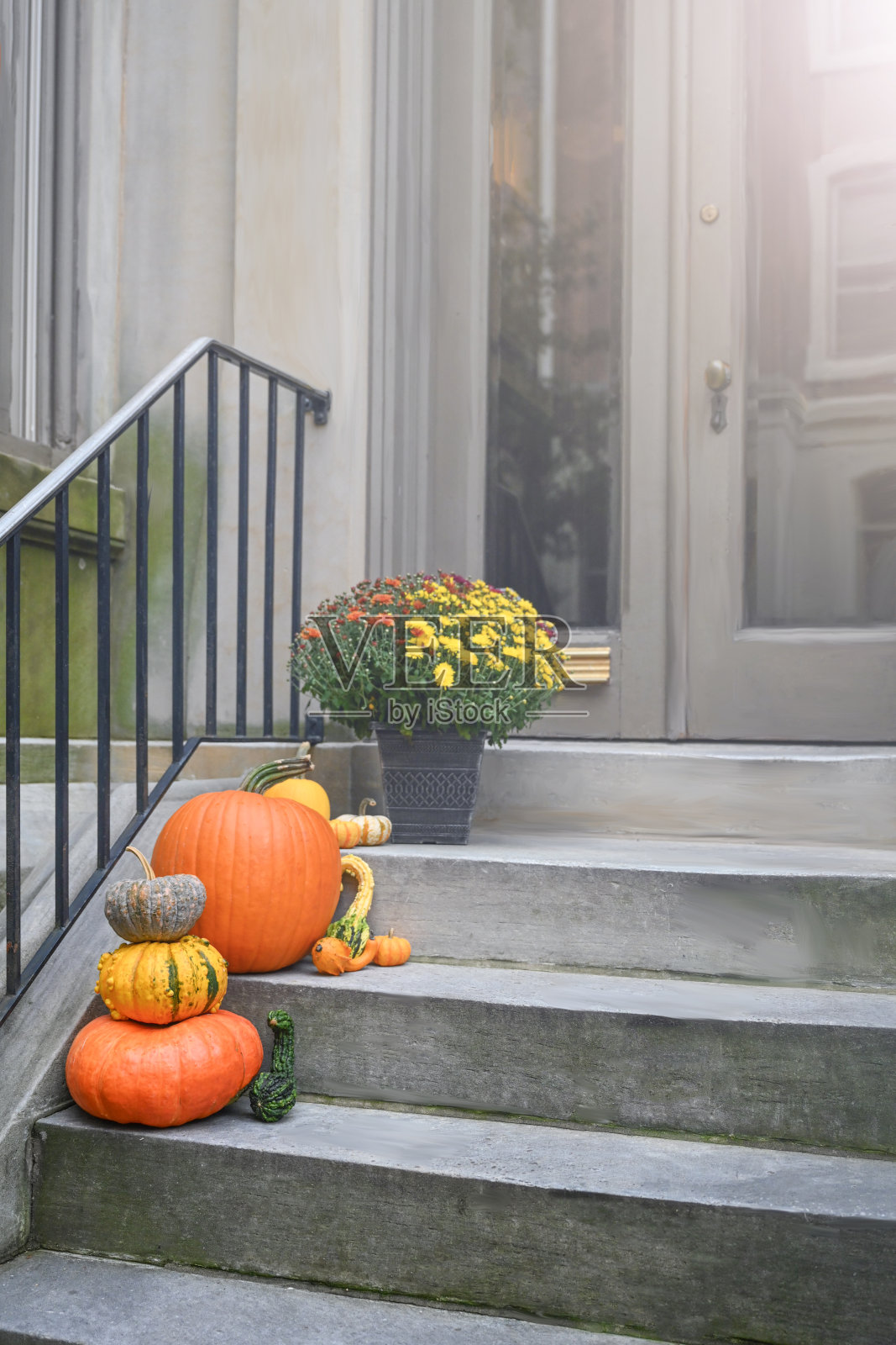 街的南瓜照片摄影图片