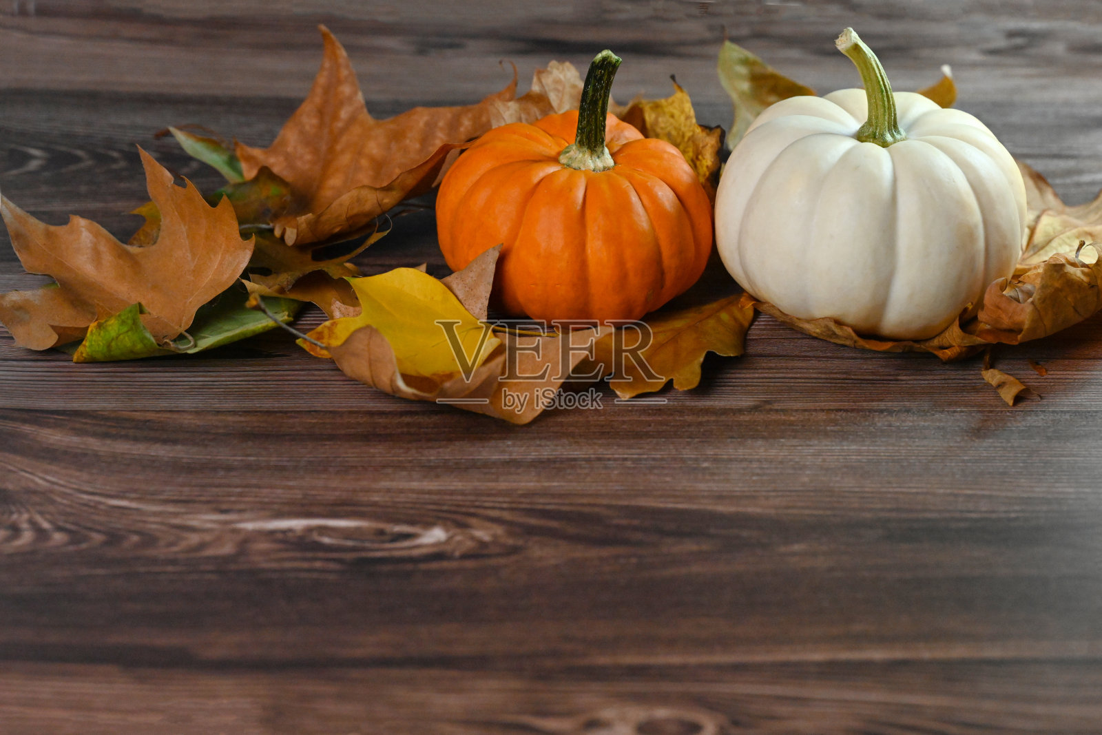 南瓜。照片摄影图片