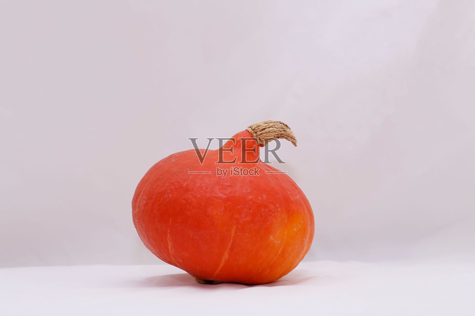 万圣节南瓜在白色背景上的特写照片摄影图片