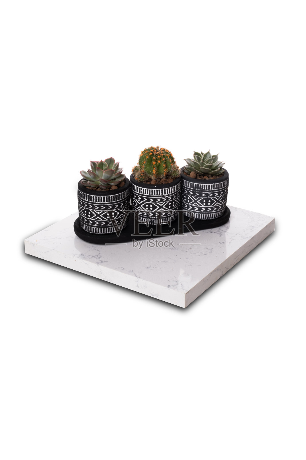 多肉和仙人掌的安排与微型房子开放的玻璃盆底白色背景照片摄影图片