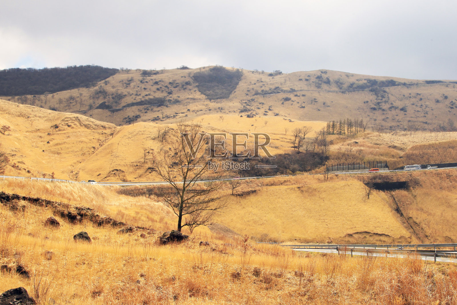 这条路在麻生久州国立公园相尻台观景台附近蜿蜒而行。在日本九州岛的冬末照片摄影图片