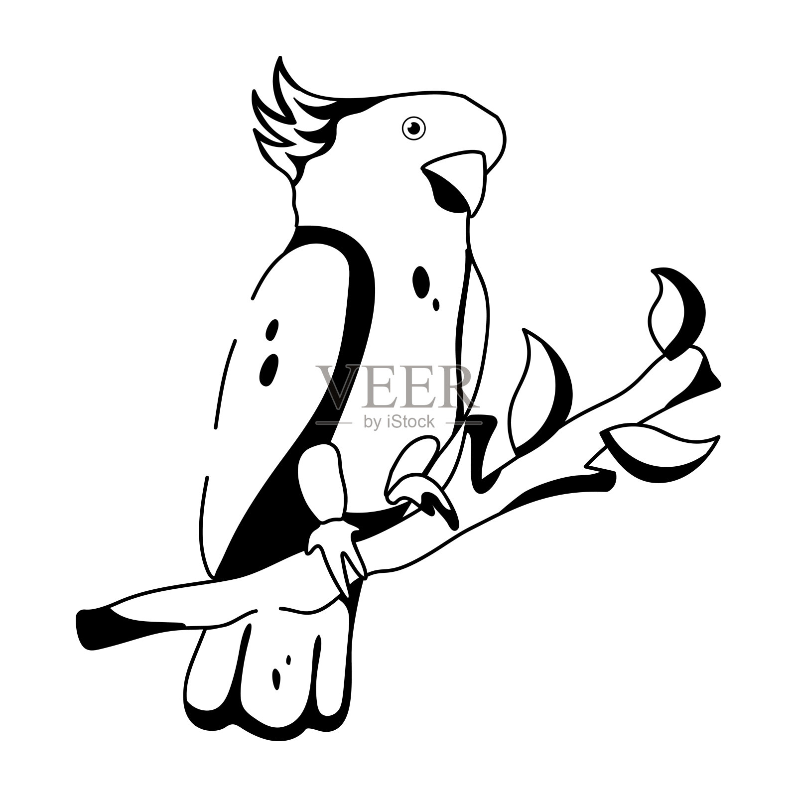 凤头鹦鹉插画图片素材