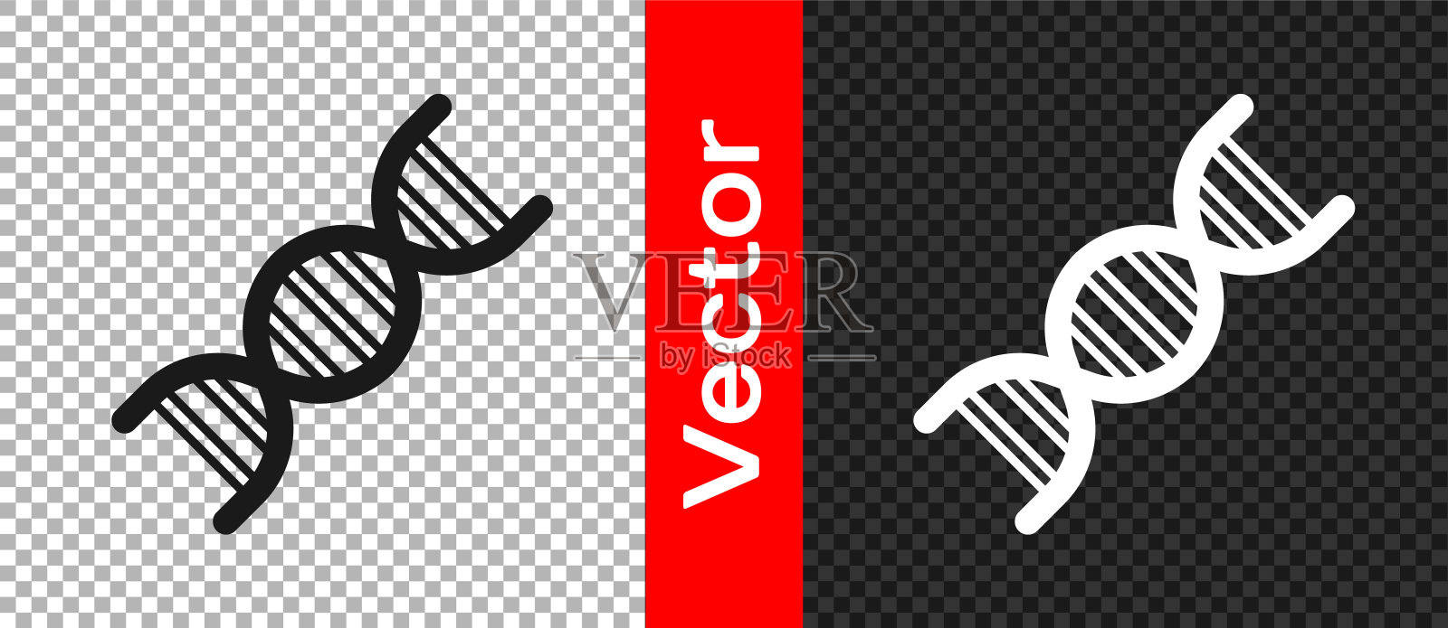 黑色DNA符号图标隔离在透明的背景。向量插画图片素材