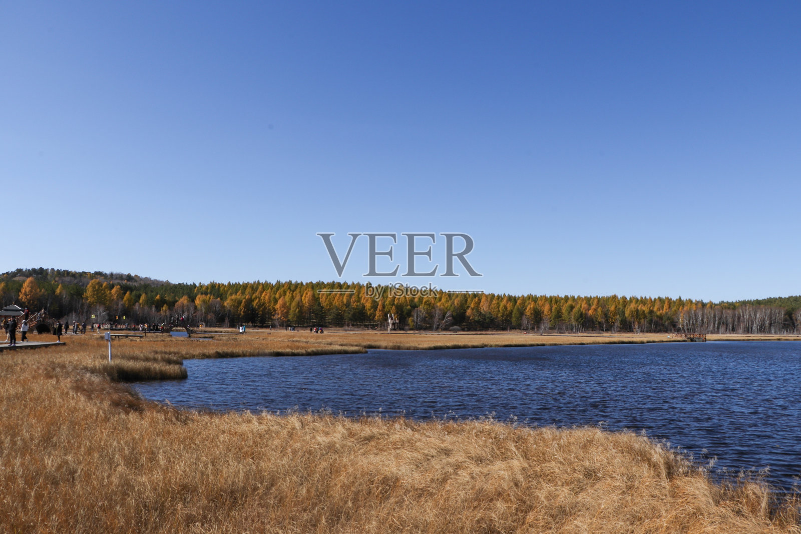 秋天的森林和草原照片摄影图片