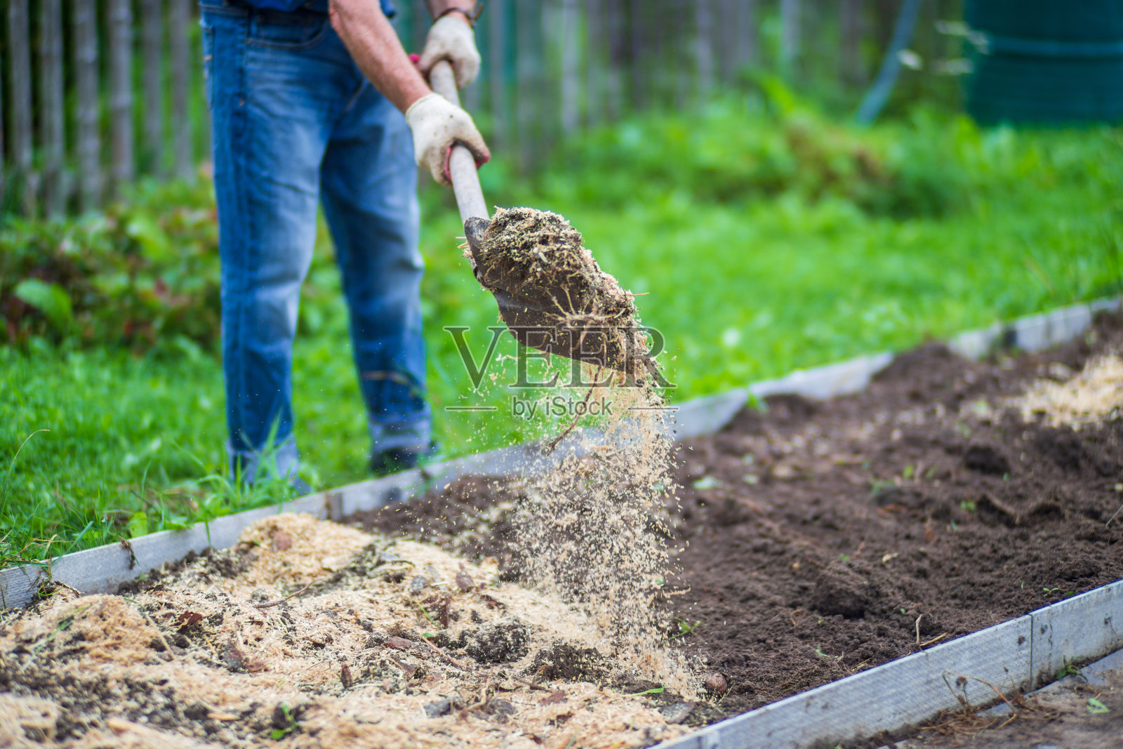 农民为在花园里种庄稼准备土壤。耕地。园艺的概念。种植在床上的农业植物照片摄影图片