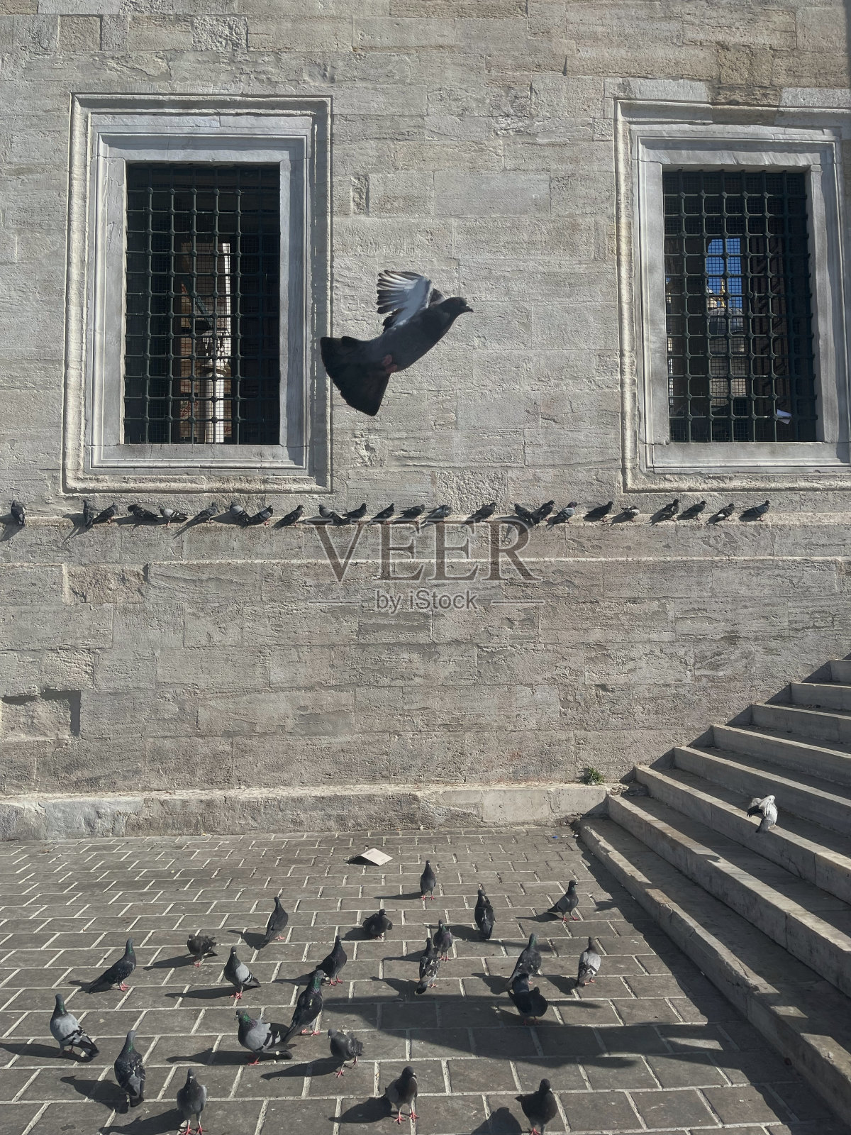 混凝土生活照片摄影图片