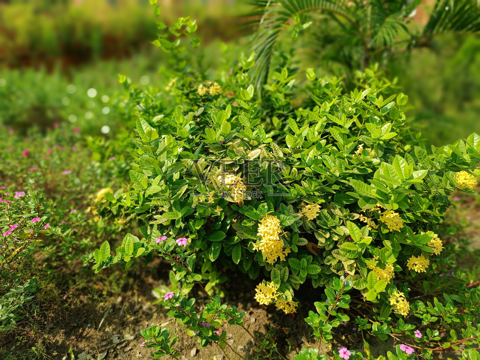 场景照片摄影图片