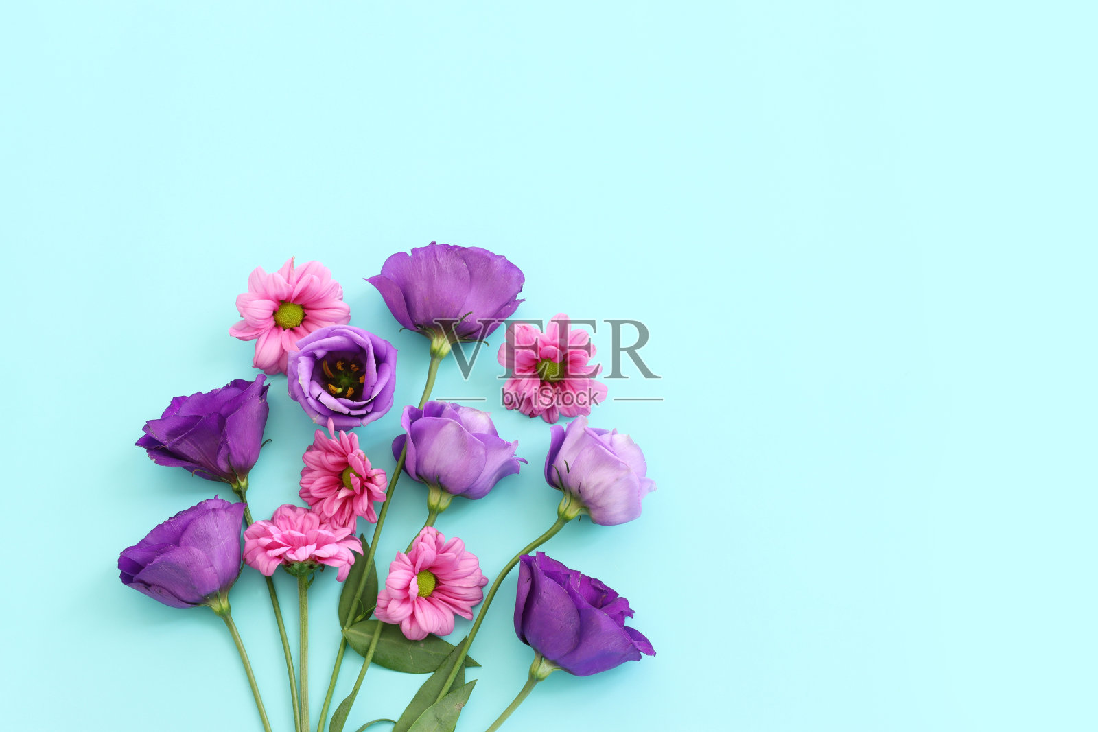 粉红色和紫色的花朵组成在柔和的蓝色背景的俯视图图像。平坦的铺设照片摄影图片