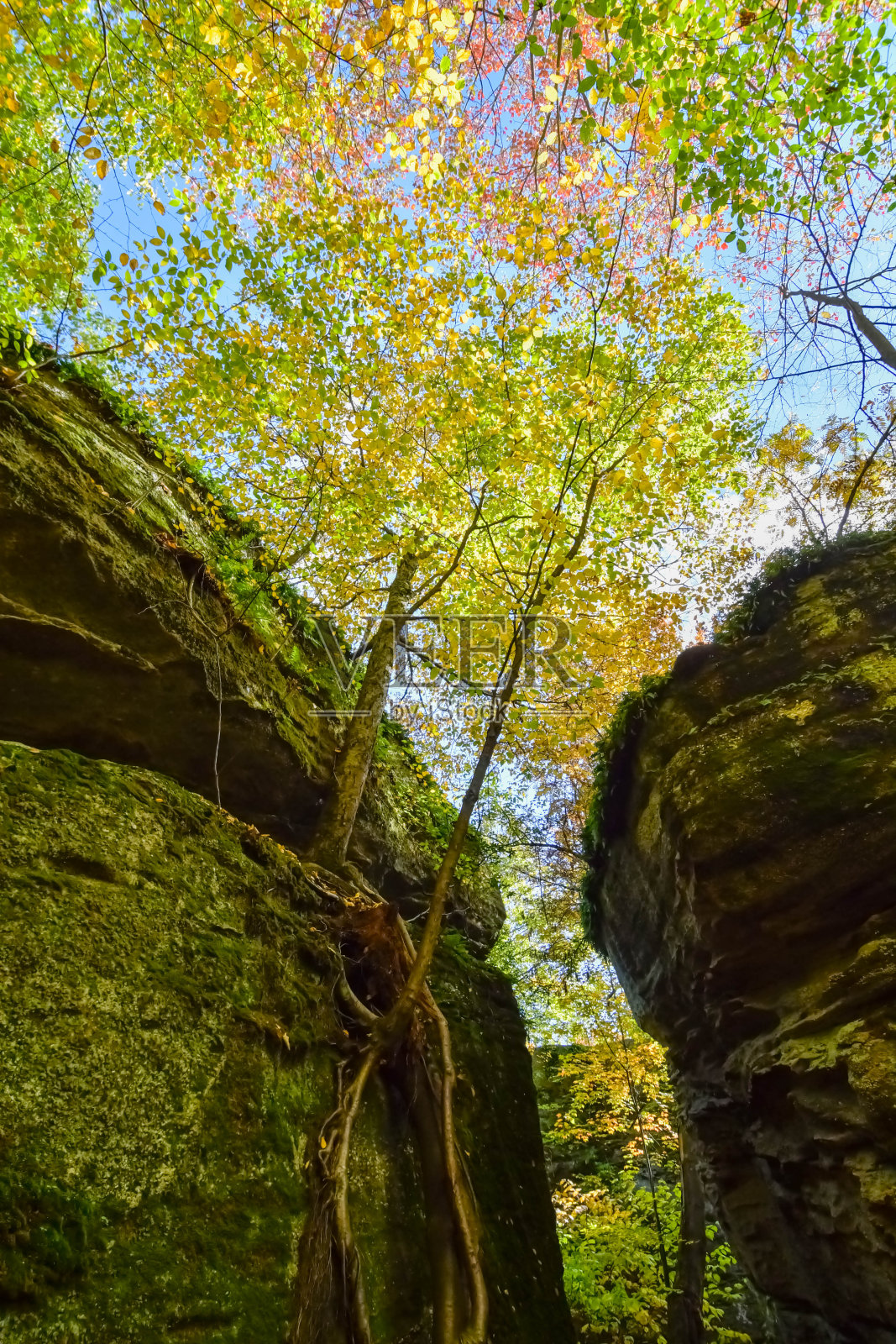 岩城公园，奥利安，纽约，巨大的岩层照片摄影图片