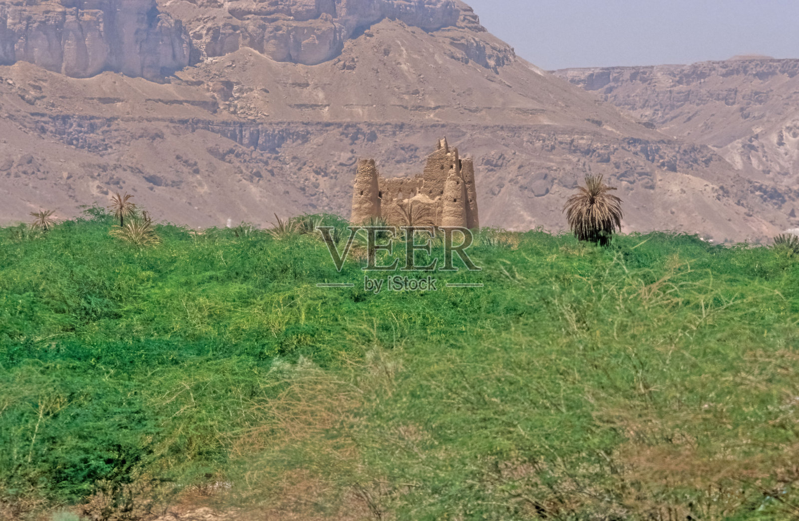 哈德拉毛绿洲照片摄影图片