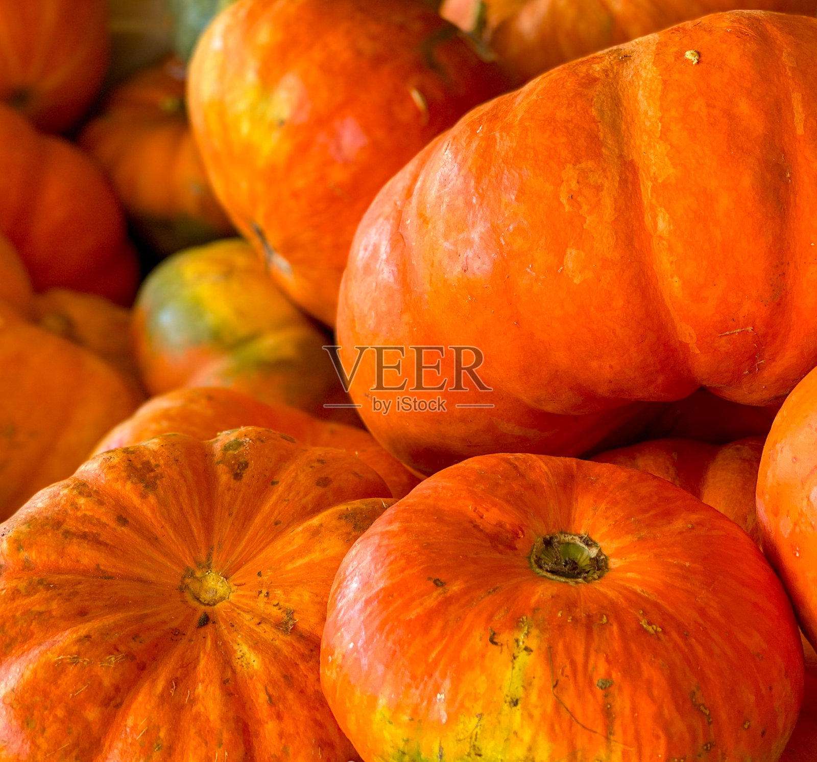 南瓜混乱照片摄影图片