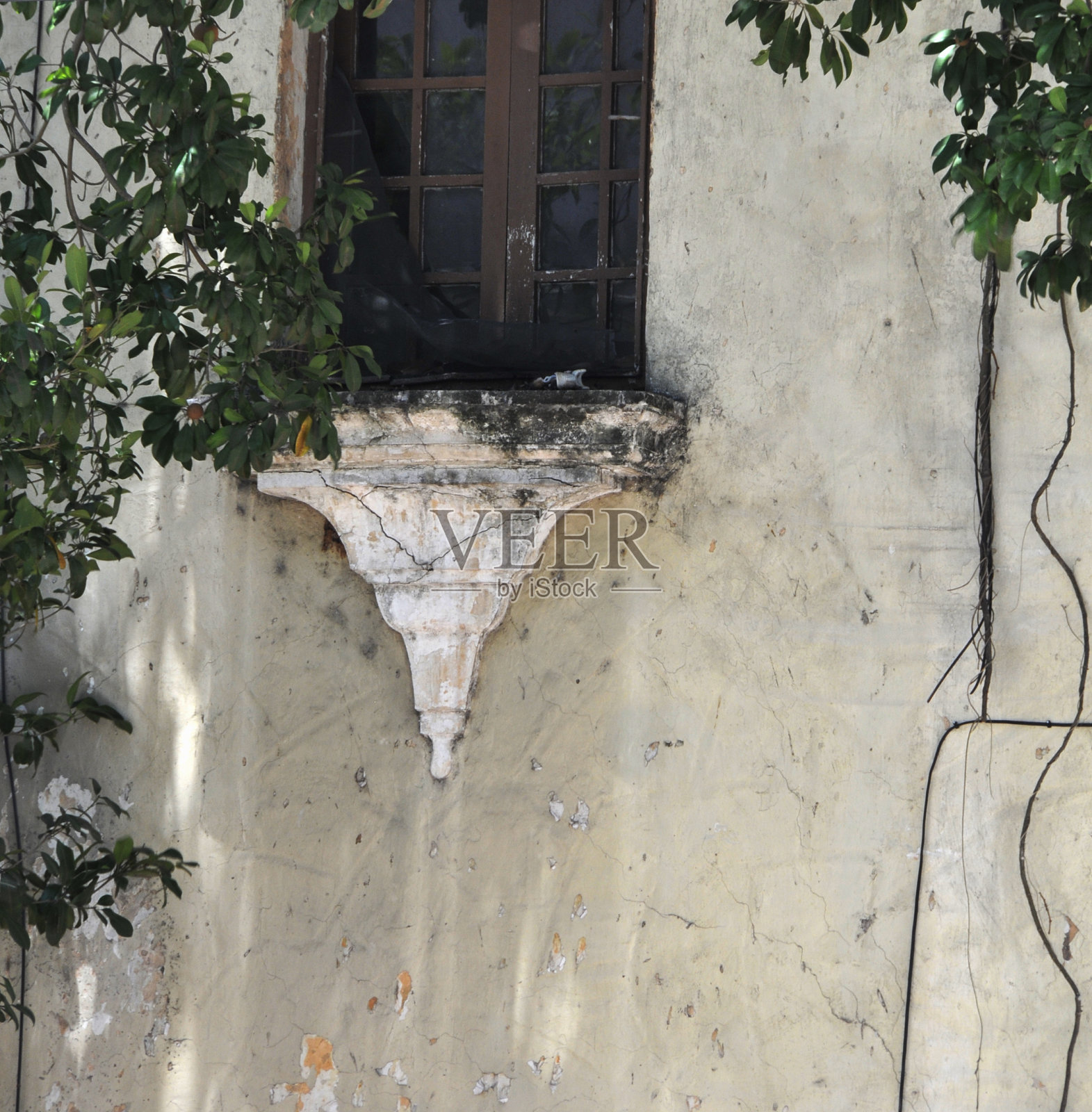 梅里达、墨西哥照片摄影图片