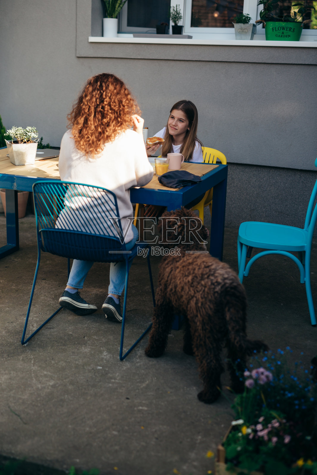 母女在后院吃早餐照片摄影图片