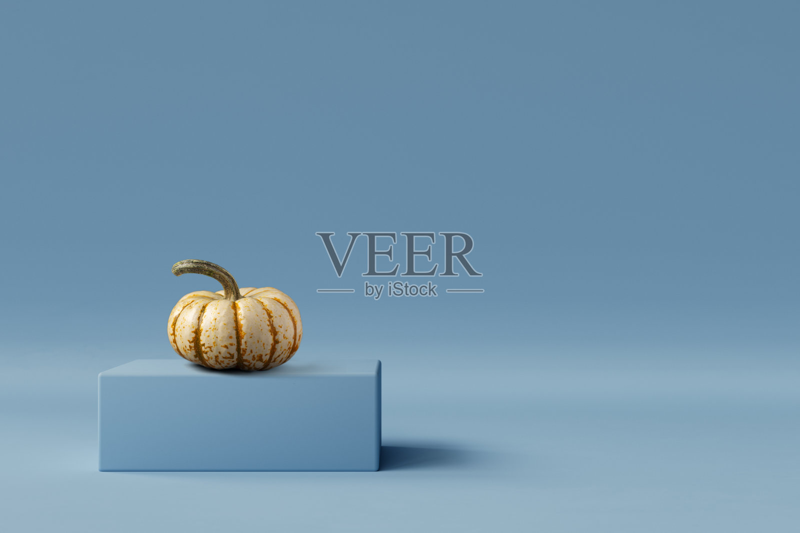 蓝色背景的万圣节或感恩节南瓜照片摄影图片