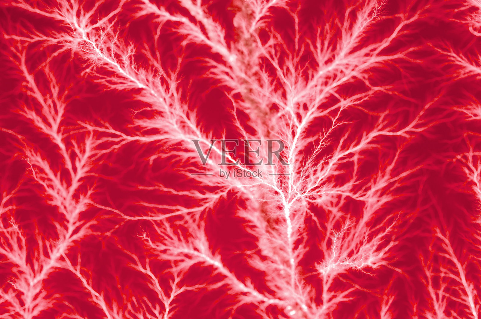 利希滕贝格图显示电丢弃模式照片摄影图片