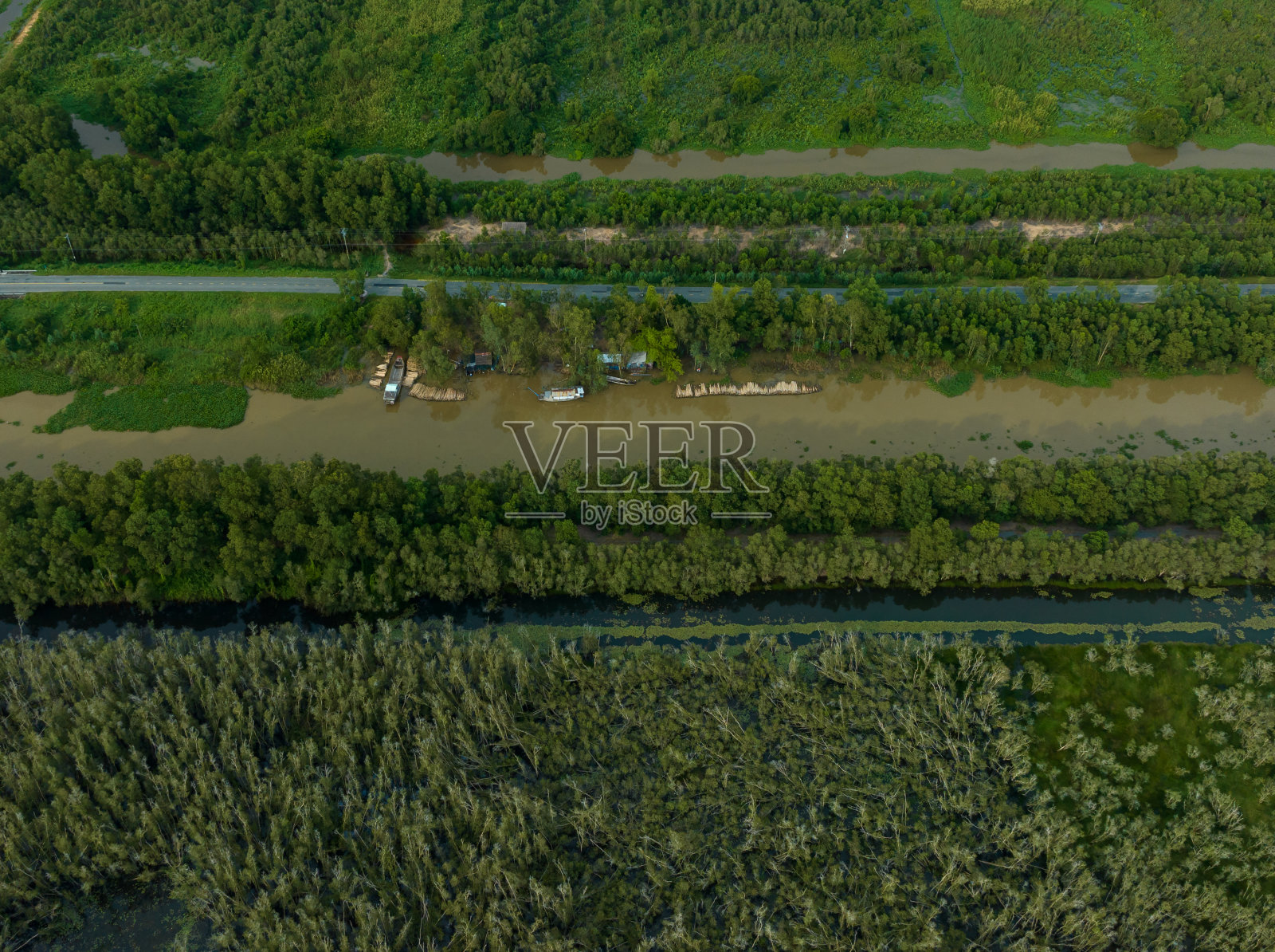 龙安省朗森湿地保护区，世界湿地之一照片摄影图片