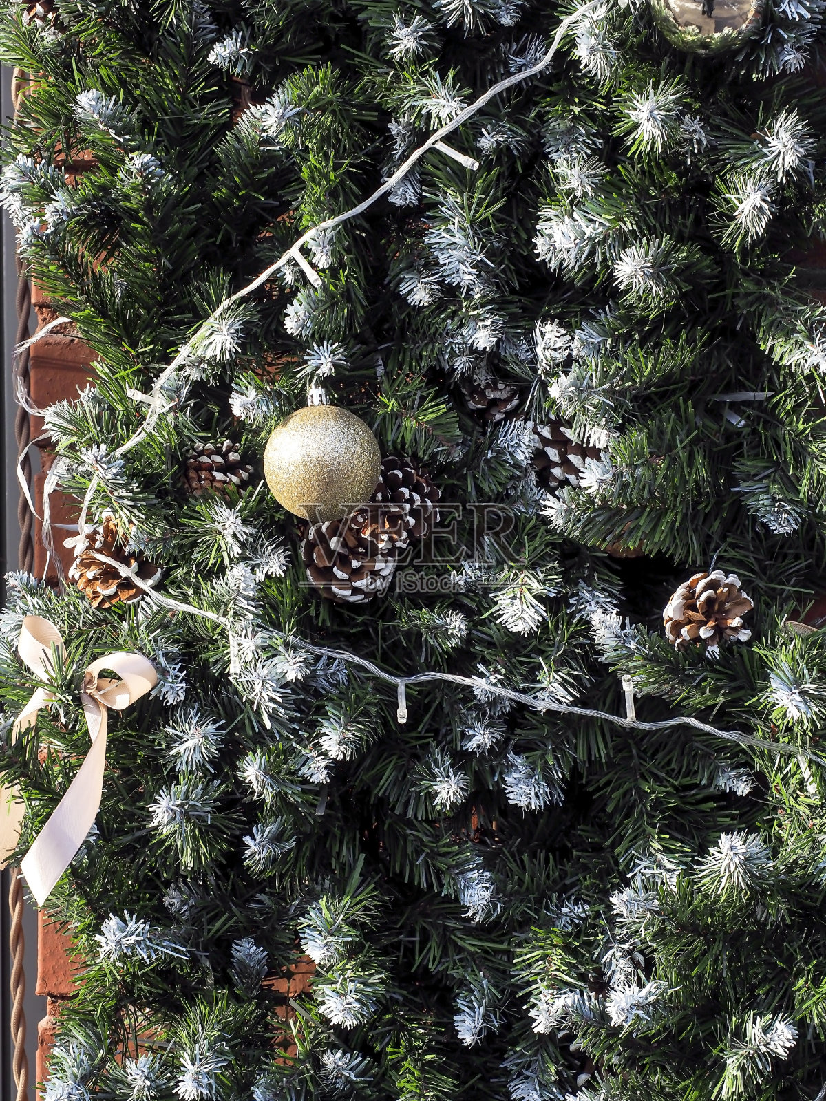 广场上装饰的小圣诞树照片摄影图片