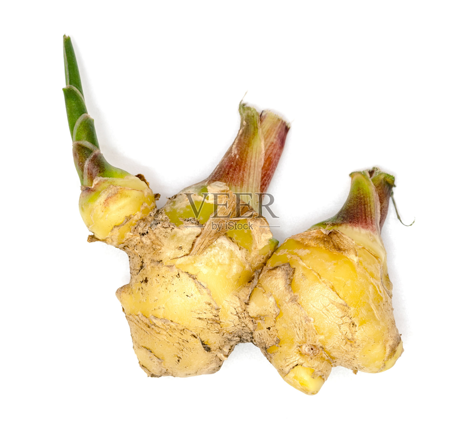 特写新鲜生姜孤立在白色背景照片摄影图片