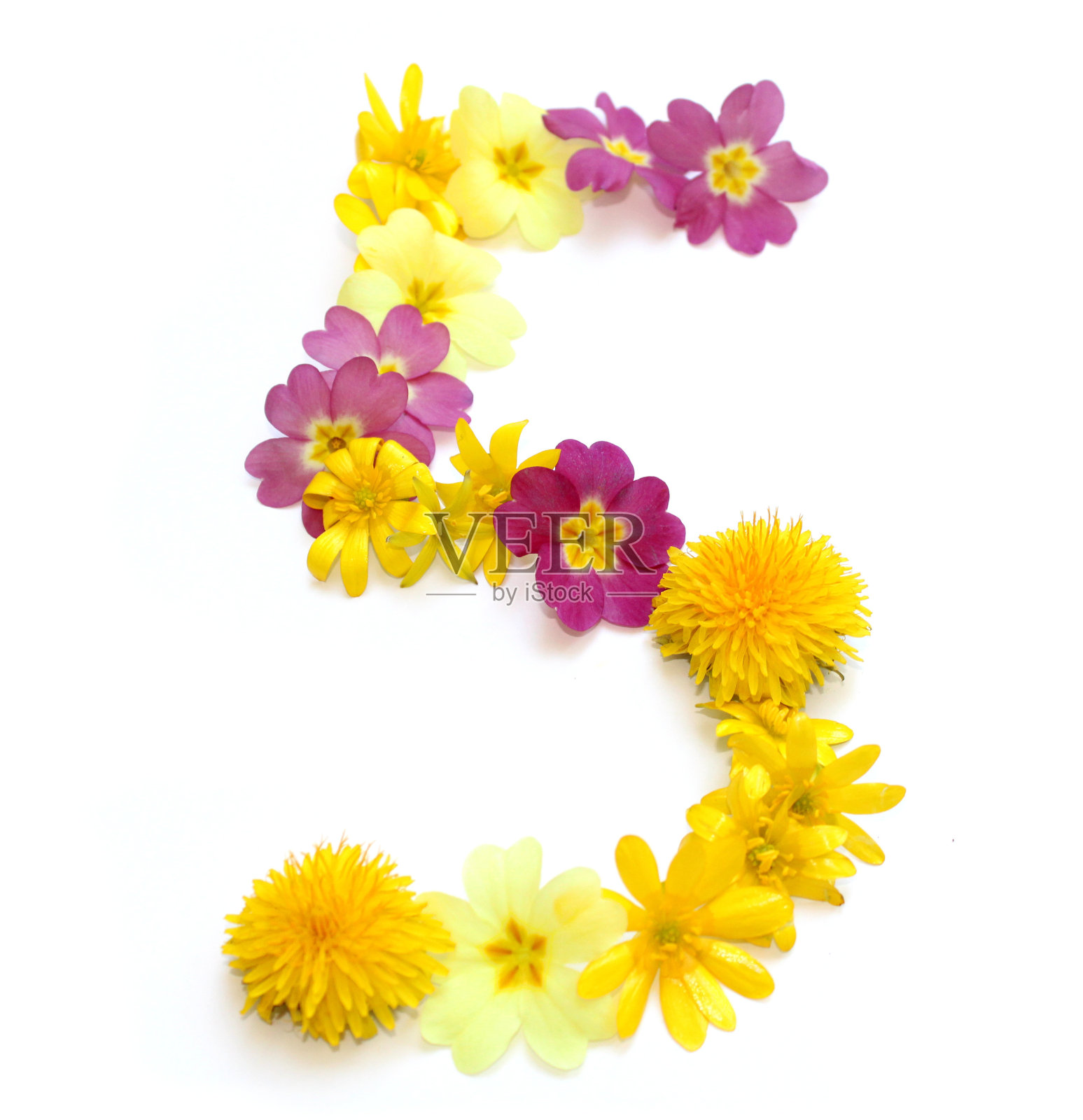 5号用黄色和粉色的花做成照片摄影图片