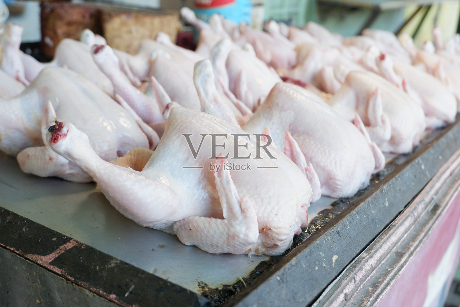 鲜肉鸡照片摄影图片