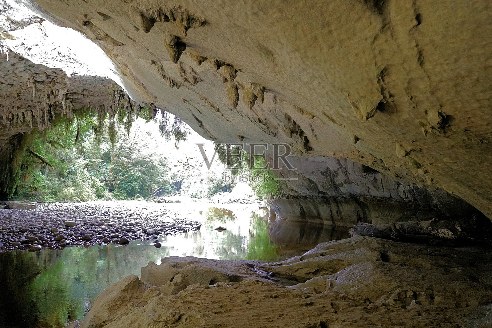 新西兰南岛照片摄影图片