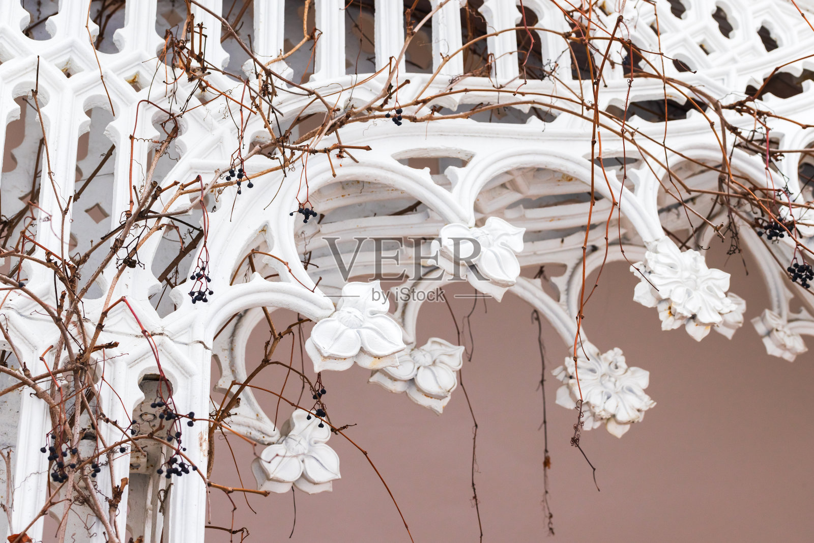 复古锻铁，白色观赏拱饰，上面有干藤照片摄影图片