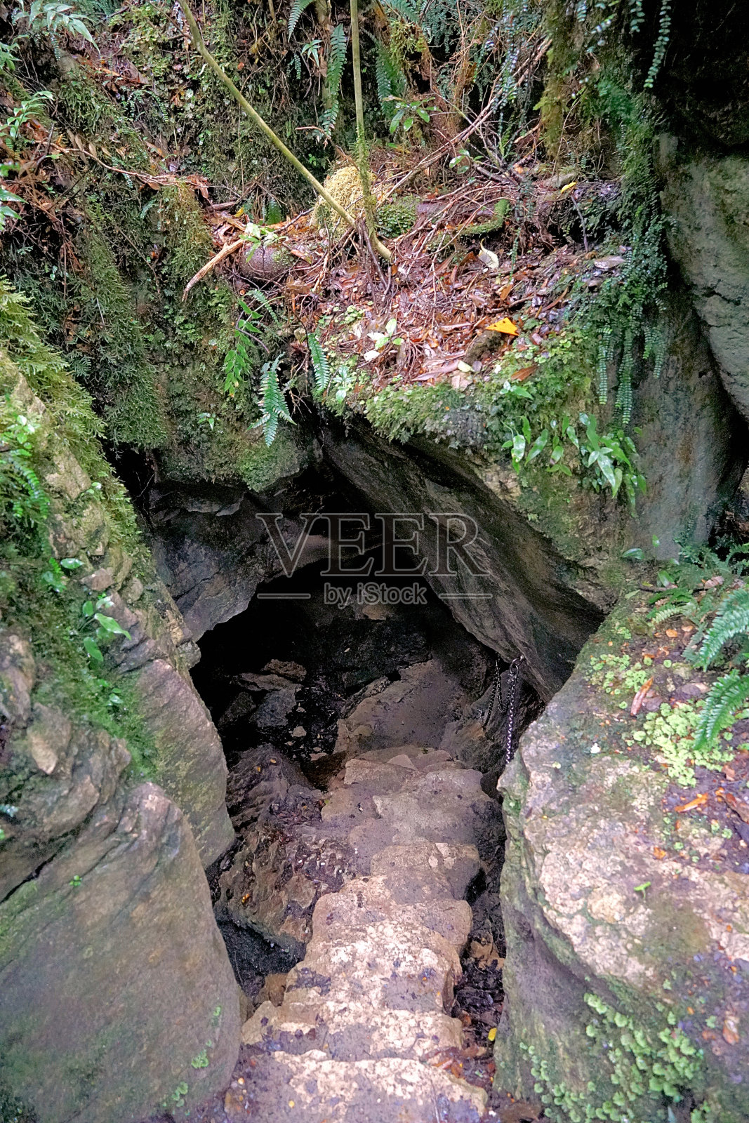 新西兰南岛照片摄影图片