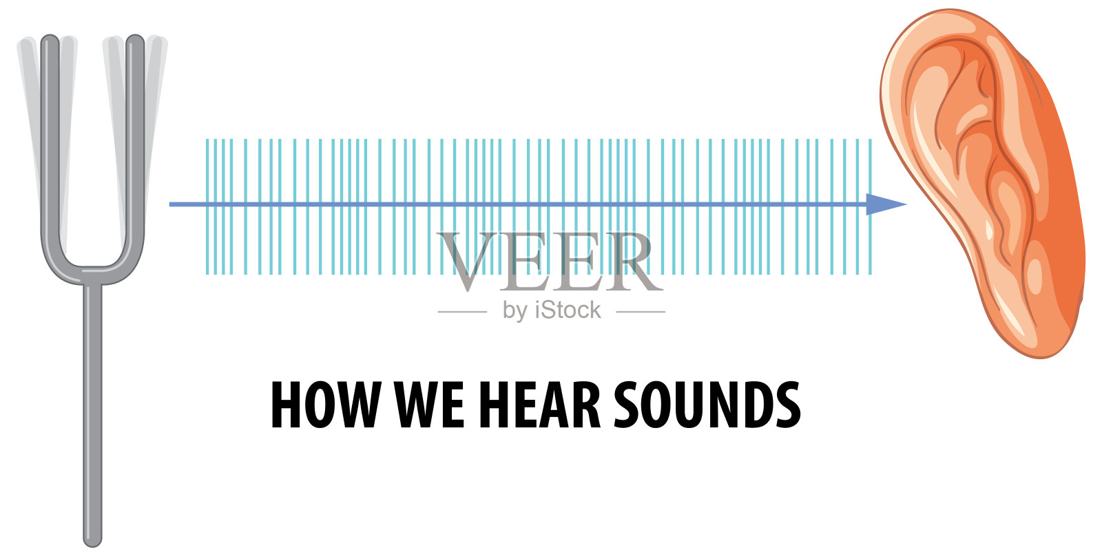 学习科学:人类听觉的解剖与实验插画图片素材