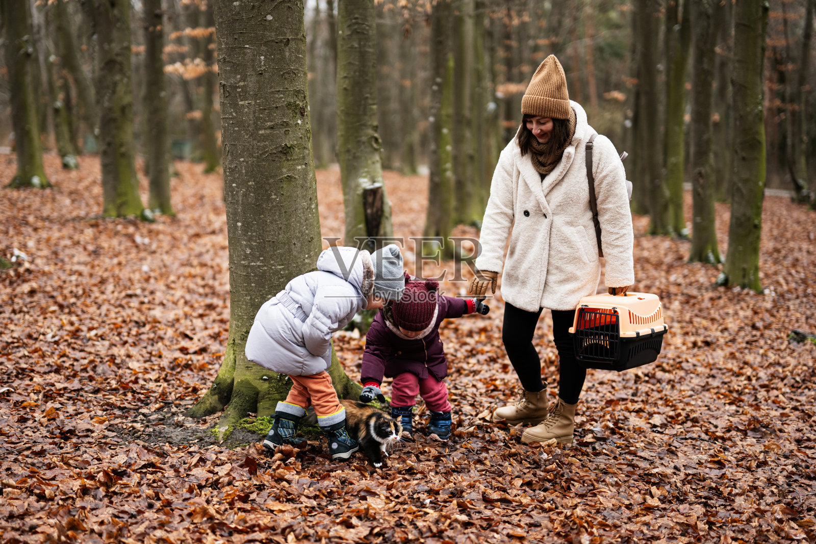 母女俩带着猫走在树林外的塑料笼车厢里。照片摄影图片