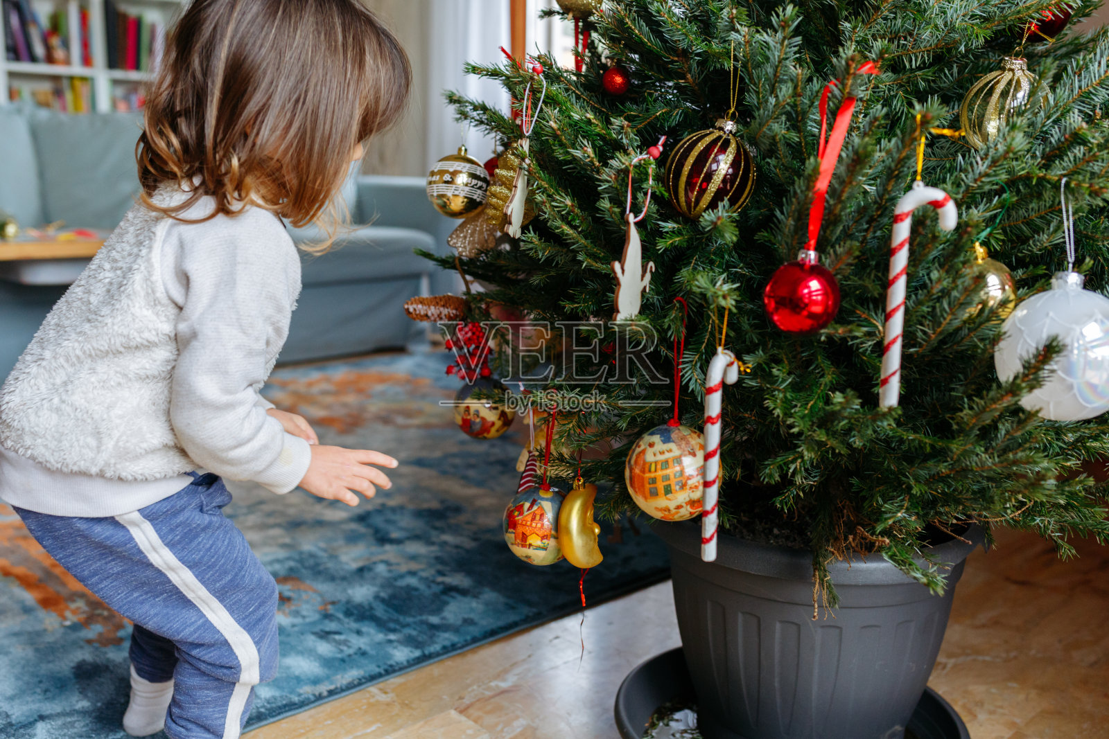 孩子在家里看着装饰好的圣诞树的侧视图照片摄影图片