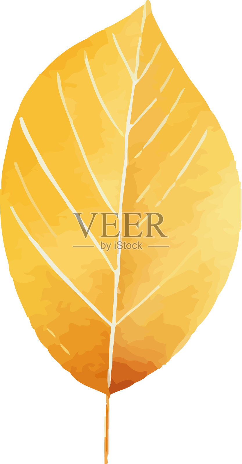 黄叶植物园林自然标志插画图片素材