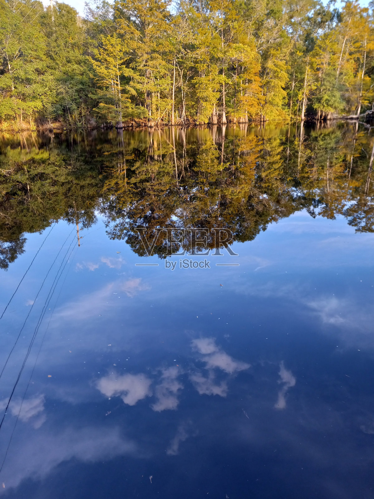 深反射照片摄影图片
