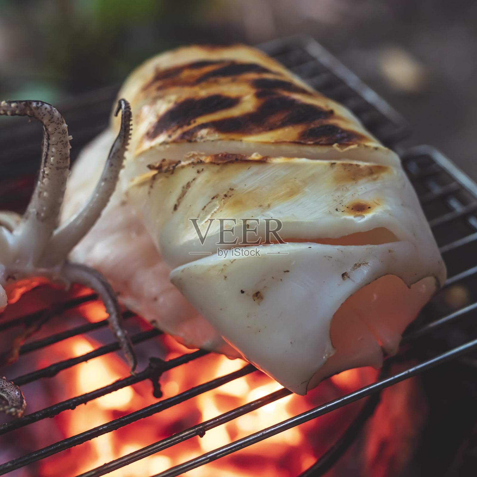 在木炭烤架上的铸铁烤架上烤鱿鱼。照片摄影图片