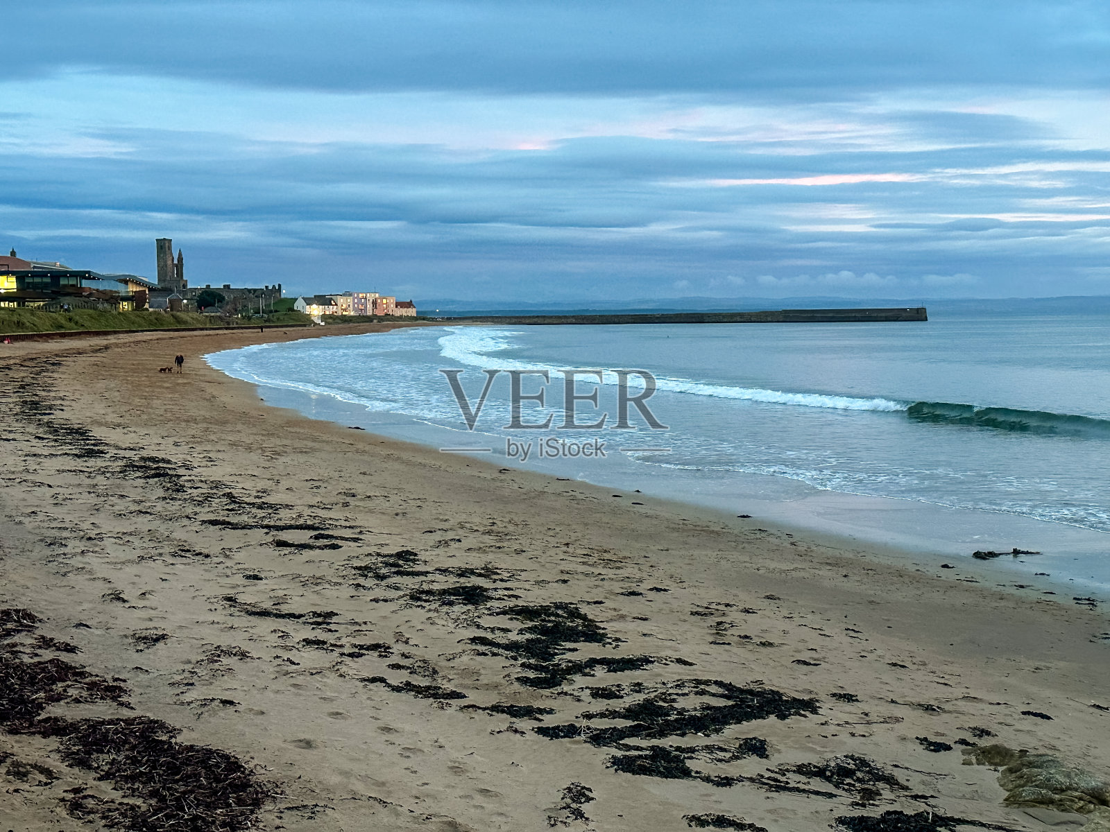 日出时，沿着苏格兰圣安德鲁斯海岸线小路的公园景观照片摄影图片