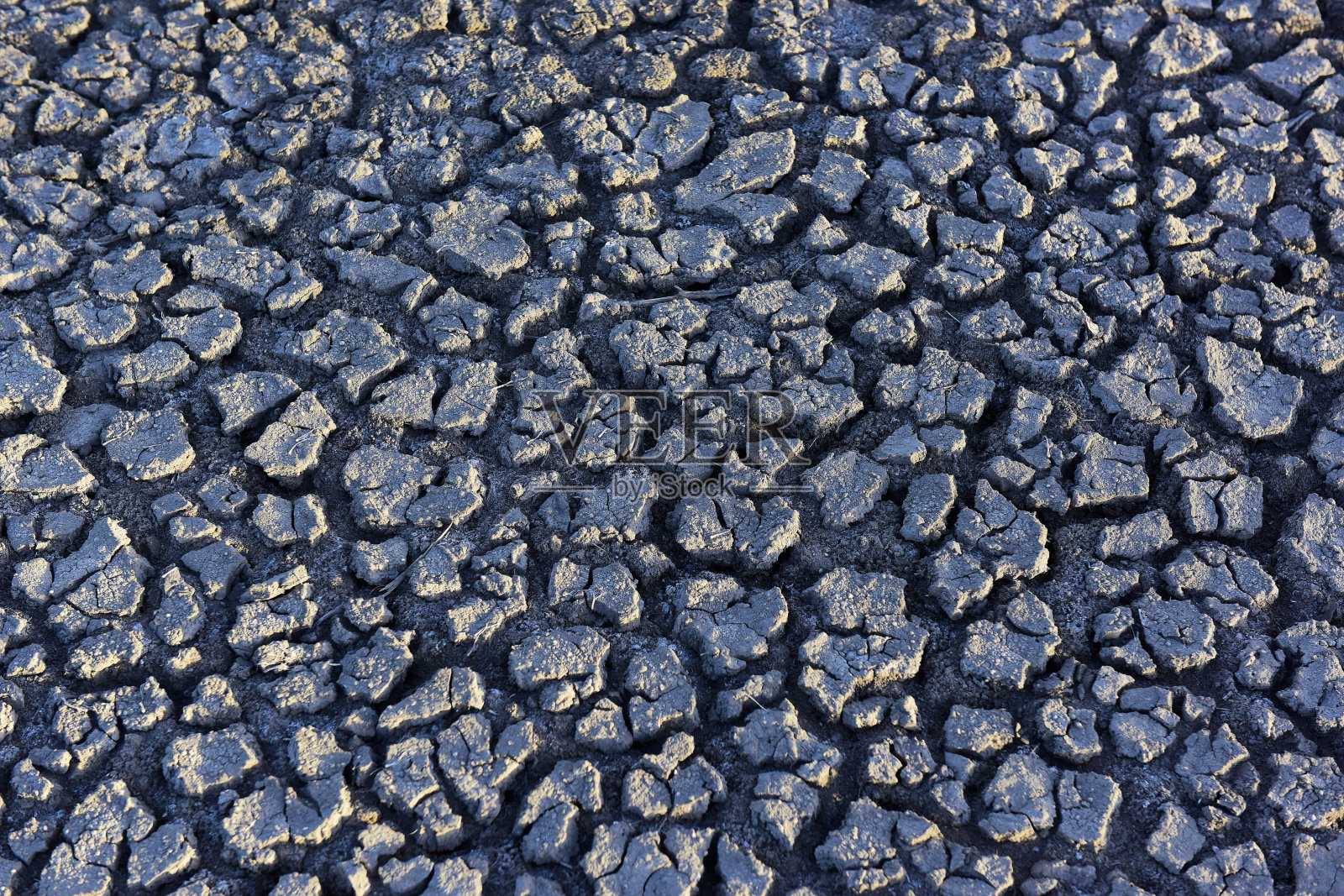 阿根廷拉潘帕沙漠中的地面裂缝照片摄影图片