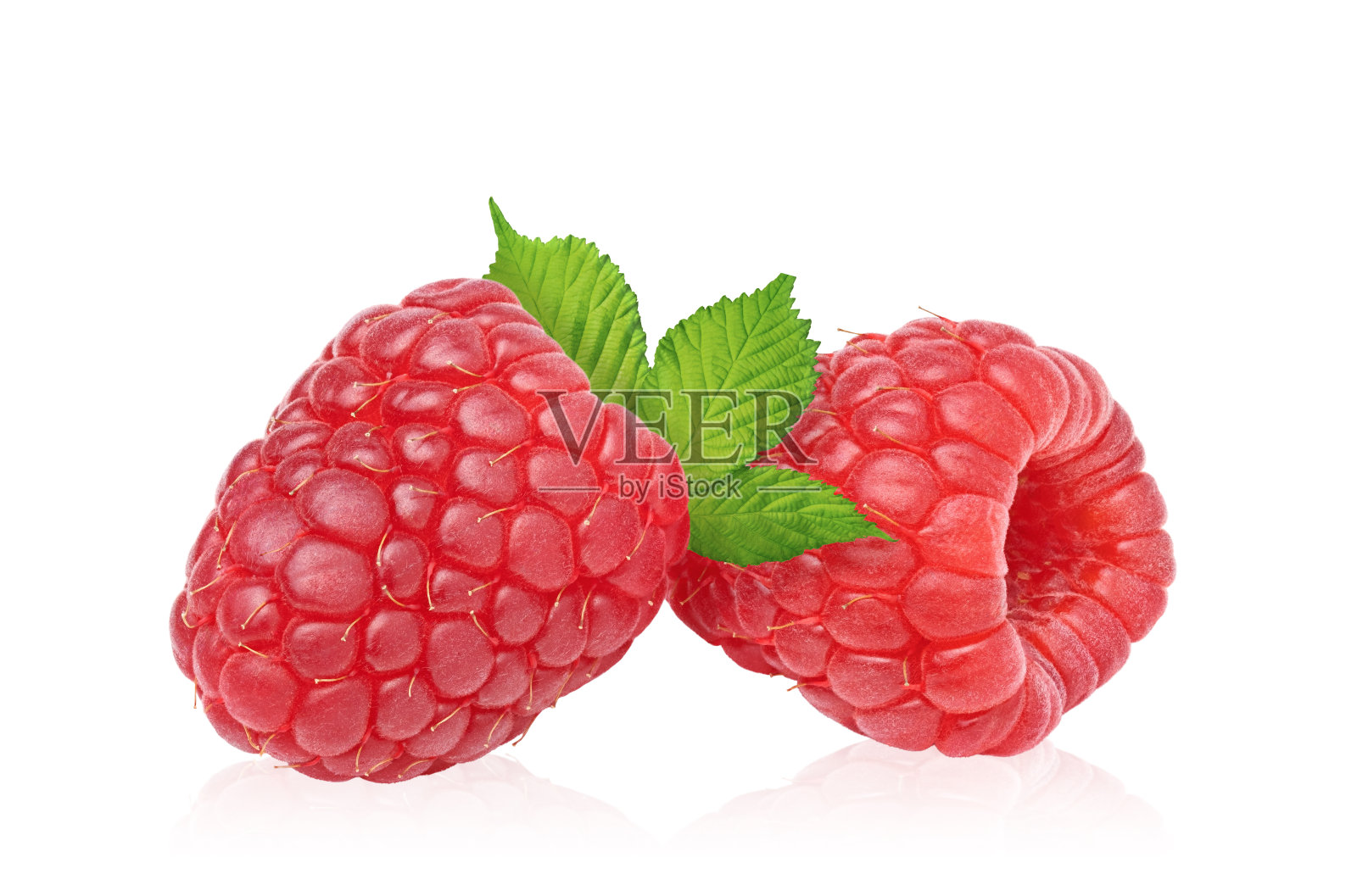 在白色背景上孤立的覆盆子浆果。照片摄影图片