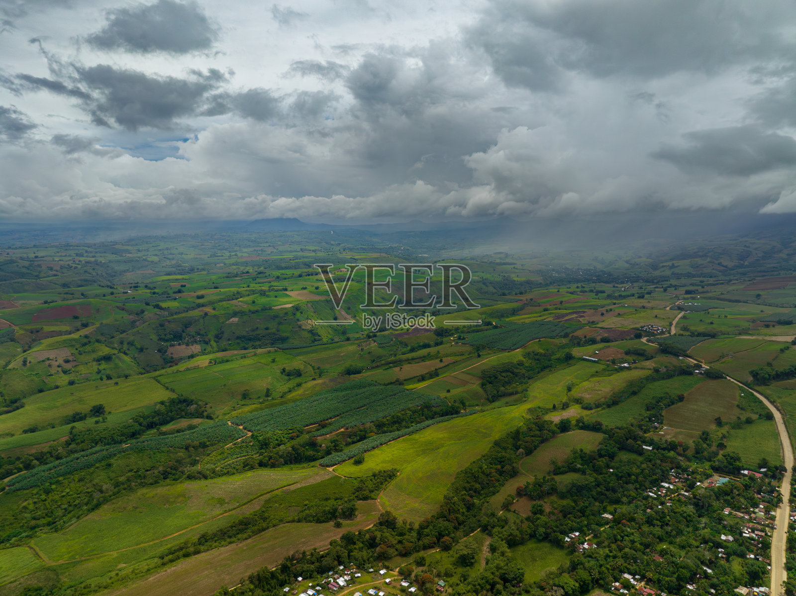 菲律宾的香蕉种植园。照片摄影图片