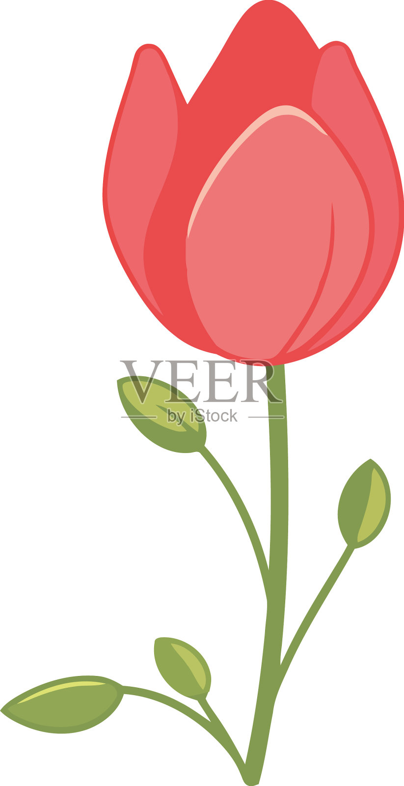 美丽的红色郁金香花图标插画图片素材