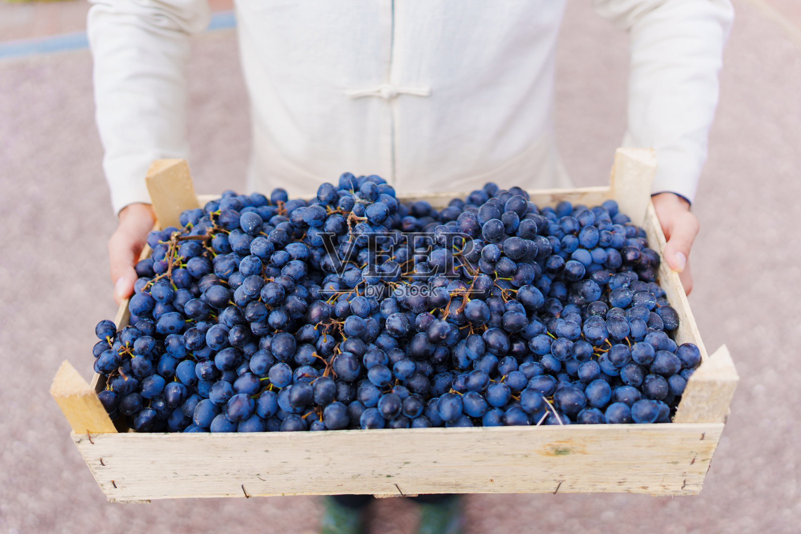 没有脸。一个男人手里拿着一盒成熟的蓝葡萄。照片摄影图片