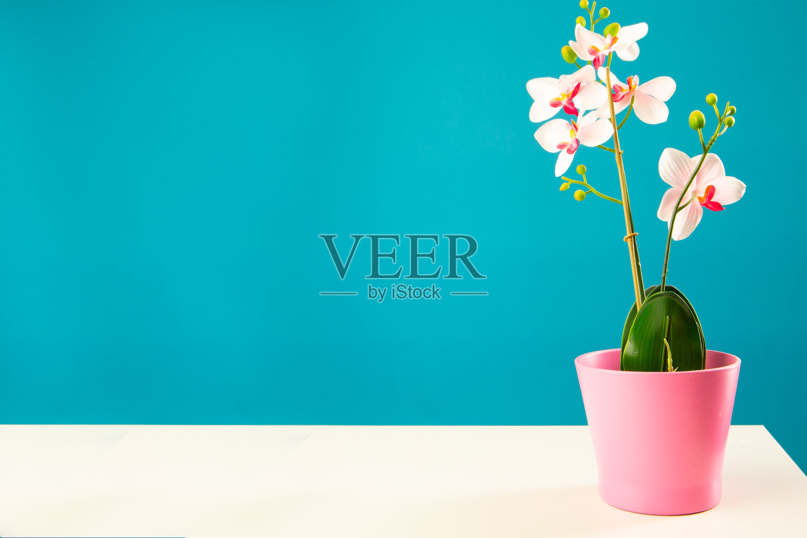 人造粉兰花照片摄影图片