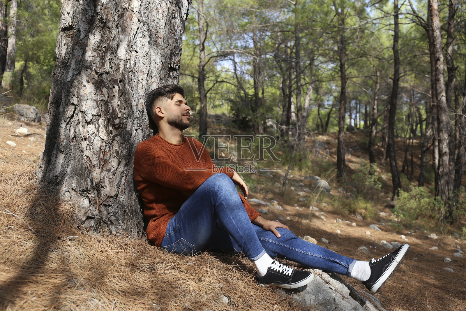 一个人坐在树下照片摄影图片