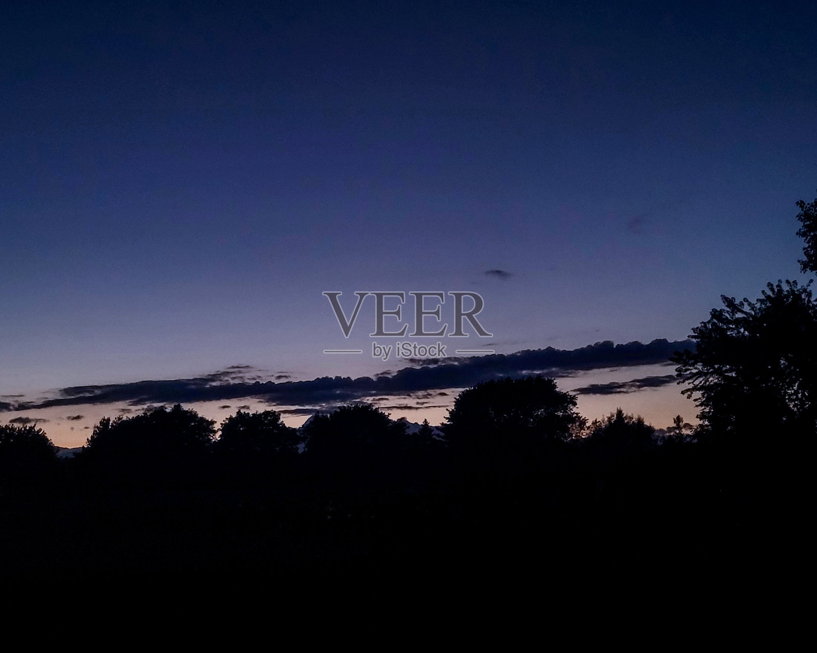 树林里的夕阳照片摄影图片