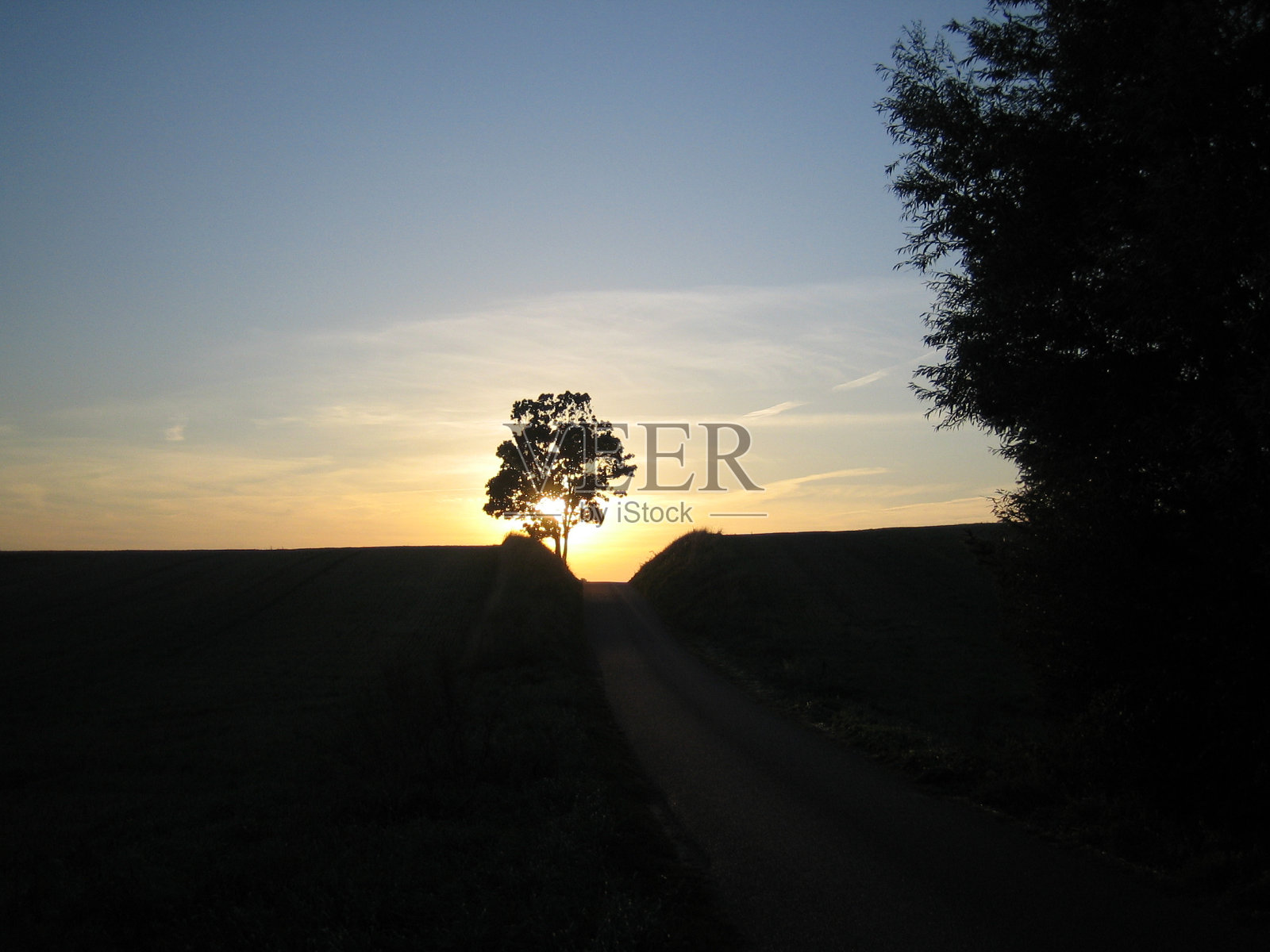 丹麦的乡村自然。照片摄影图片