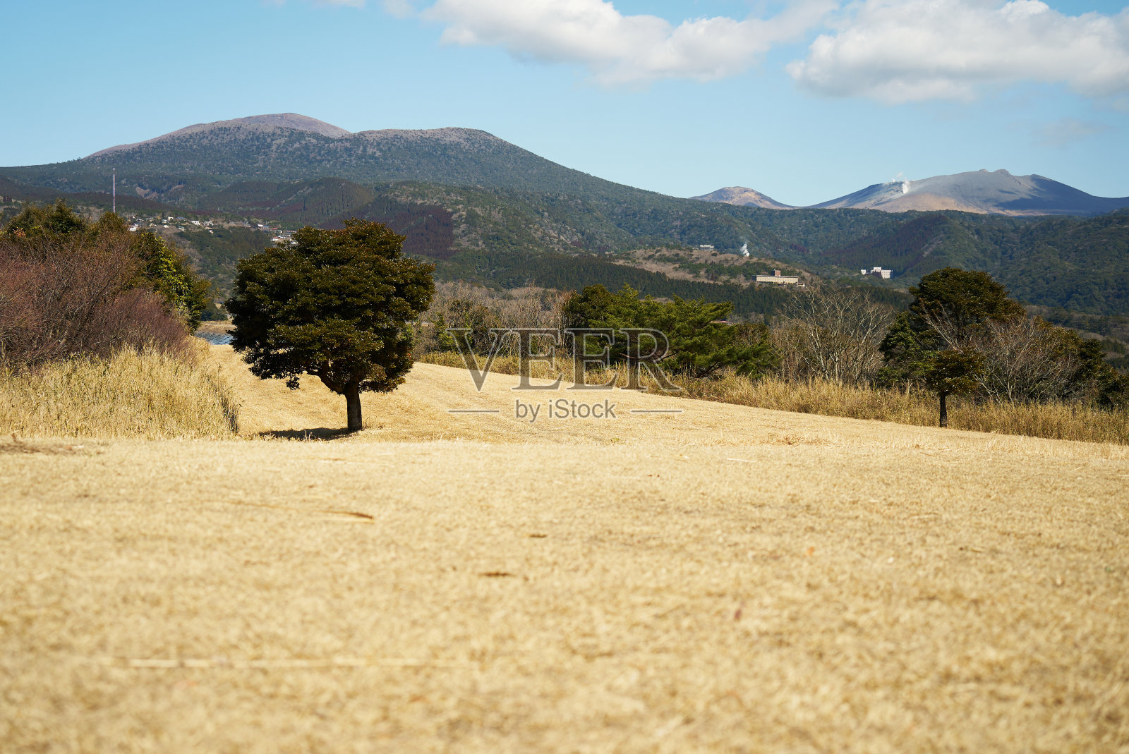 柳田长廊观景台，在那里可以看到美丽的雾岛山脉照片摄影图片